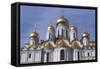 Russia, Moscow Region, Moscow, Kremlin, Cathedral of Annunciation-null-Framed Stretched Canvas