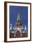 Brown Frame