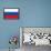 Russia National Flag Poster Print-null-Framed Poster displayed on a wall