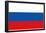 Russia National Flag Poster Print-null-Framed Poster