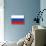 Russia National Flag Poster Print-null-Mounted Poster displayed on a wall