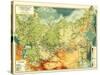 Russia - Panoramic Map-Lantern Press-Stretched Canvas