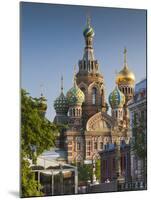 Russia, St. Petersburg, Center, Church of the Saviour of Spilled Blood on Griboedov Canal-Walter Bibikow-Mounted Photographic Print