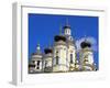 Russia, St Petersburg; Cupolas of the Vladimirsky Church-Nick Laing-Framed Photographic Print