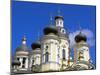 Russia, St Petersburg; Cupolas of the Vladimirsky Church-Nick Laing-Mounted Photographic Print