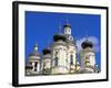 Russia, St Petersburg; Cupolas of the Vladimirsky Church-Nick Laing-Framed Photographic Print