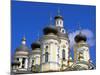 Russia, St Petersburg; Cupolas of the Vladimirsky Church-Nick Laing-Mounted Photographic Print