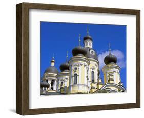 Russia, St Petersburg; Cupolas of the Vladimirsky Church-Nick Laing-Framed Photographic Print