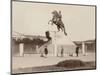 Russia, Statue of Peter the Great in St. Petersburg-null-Mounted Photographic Print