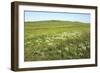 Russia Steppe in Early Summer-Andrey Zvoznikov-Framed Photographic Print