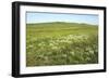 Russia Steppe in Early Summer-Andrey Zvoznikov-Framed Photographic Print