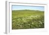 Russia Steppe in Early Summer-Andrey Zvoznikov-Framed Photographic Print