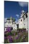 Russia, Suzdal, Cathedral of Transfiguration and Gabled Belfry-null-Mounted Giclee Print