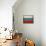 Russia-David Bowman-Stretched Canvas displayed on a wall