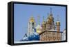 Russia-null-Framed Stretched Canvas