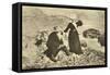 Russian Author Leo Tolstoy and His Wife Sophia by the Black Sea, Crimea, Russia, 1902-Sophia Tolstaya-Framed Stretched Canvas