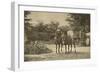 Russian Author Leo Tolstoy Riding in Yasnaya Polyana, Near Tula, Russia, 1900-Sophia Tolstaya-Framed Giclee Print