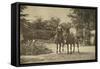 Russian Author Leo Tolstoy Riding in Yasnaya Polyana, Near Tula, Russia, 1900-Sophia Tolstaya-Framed Stretched Canvas