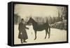 Russian Author Leo Tolstoy with a Horse, Yasnaya Polyana, Near Tula, Russia, 1905-Sophia Tolstaya-Framed Stretched Canvas