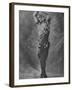Russian Ballet Dancer Vaslav Nijinsky Photographed in Title Role of "Spectre de La Rose"-Emil Otto Hoppé-Framed Premium Photographic Print
