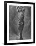 Russian Ballet Dancer Vaslav Nijinsky Photographed in Title Role of "Spectre de La Rose"-Emil Otto Hoppé-Framed Premium Photographic Print