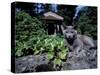 Russian Blue Cat Sunning on Stone Wall in Garden, Italy-Adriano Bacchella-Stretched Canvas