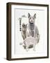 Russian Blue-Barbara Keith-Framed Giclee Print