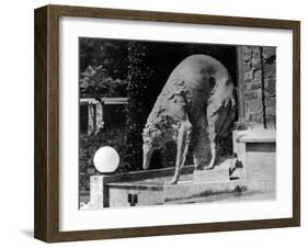 Russian Borzoi Statue-null-Framed Photographic Print