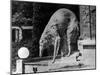 Russian Borzoi Statue-null-Mounted Photographic Print