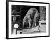 Russian Borzoi Statue-null-Framed Photographic Print