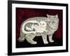 Russian Cat-Ditz-Framed Giclee Print