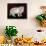 Russian Cat-Ditz-Framed Giclee Print displayed on a wall