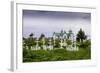 Russian Cemetery and Orthodox Church in Ninilchik, Kenai Peninsula, Alaska-Françoise Gaujour-Framed Photographic Print