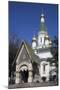 Russian Church of St Nicholas, Sofia, Bulgaria-null-Mounted Giclee Print