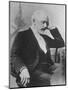 Russian Composer Peter Ilyich Tchaikovsky, 1840-1893-null-Mounted Photographic Print