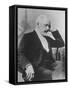 Russian Composer Peter Ilyich Tchaikovsky, 1840-1893-null-Framed Stretched Canvas