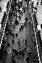 Laminate
