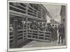 Russian Emigrants Landing from the Tender at the Barge Office, New York-Amedee Forestier-Mounted Giclee Print