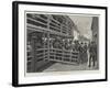 Russian Emigrants Landing from the Tender at the Barge Office, New York-Amedee Forestier-Framed Giclee Print