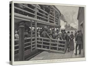 Russian Emigrants Landing from the Tender at the Barge Office, New York-Amedee Forestier-Stretched Canvas