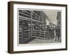 Russian Emigrants Landing from the Tender at the Barge Office, New York-Amedee Forestier-Framed Giclee Print
