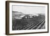 Russian Field Artillery in the Millet Field, Russo-Japanese War, 1904-5-null-Framed Giclee Print