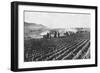 Russian Field Artillery in the Millet Field, Russo-Japanese War, 1904-5-null-Framed Giclee Print