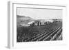 Russian Field Artillery in the Millet Field, Russo-Japanese War, 1904-5-null-Framed Giclee Print