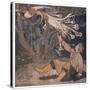 Russian Folklore - Fire Bird-null-Stretched Canvas