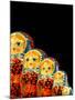 Russian Handicrafts, Matrushka Nesting Dolls-Cindy Miller Hopkins-Mounted Photographic Print