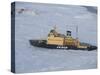 Russian Icebreaker, Seen from Helicopter Flight, Antarctica-Thorsten Milse-Stretched Canvas