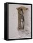 Russian Look of the Land Essay: Donkey Peering Out of Doorway at Merv-Howard Sochurek-Framed Stretched Canvas