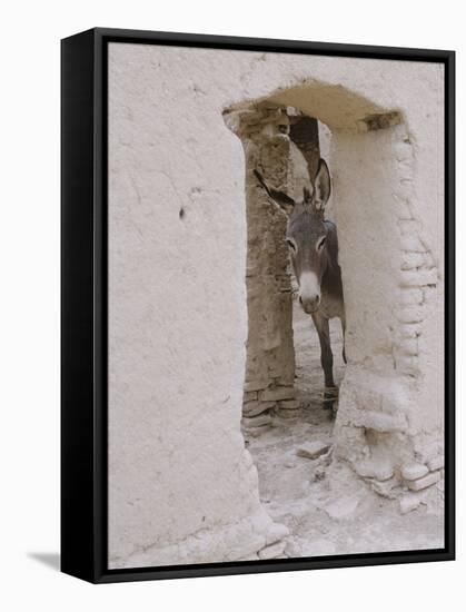 Russian Look of the Land Essay: Donkey Peering Out of Doorway at Merv-Howard Sochurek-Framed Stretched Canvas