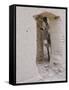 Russian Look of the Land Essay: Donkey Peering Out of Doorway at Merv-Howard Sochurek-Framed Stretched Canvas